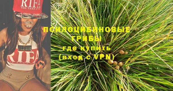 мяу мяу мука Алексеевка