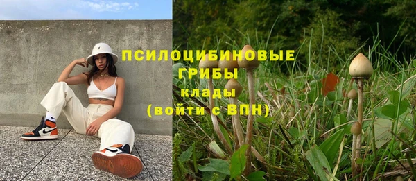 ГАЛЛЮЦИНОГЕННЫЕ ГРИБЫ Алексин