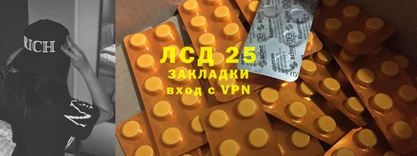 ПСИЛОЦИБИНОВЫЕ ГРИБЫ Алзамай