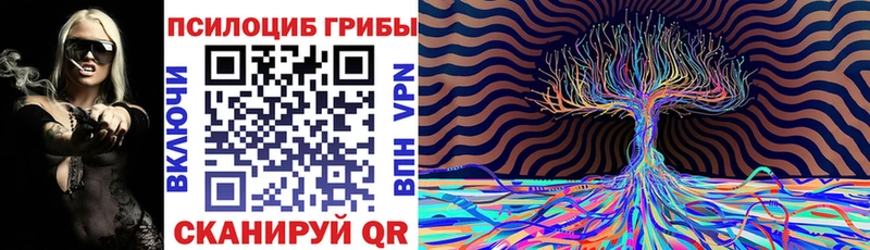 Псилоцибиновые грибы GOLDEN TEACHER  даркнет наркотические препараты  Всеволожск 